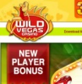 Wild Vegas Casino HIGH Roller's Bonus
