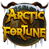 Arctic Fortune slots