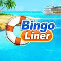 bingo liner